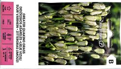 Greater Quaking Grass Seed